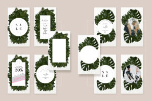 urban jungle instagram animated-post story stories greenery palm wedding template graphic business premade