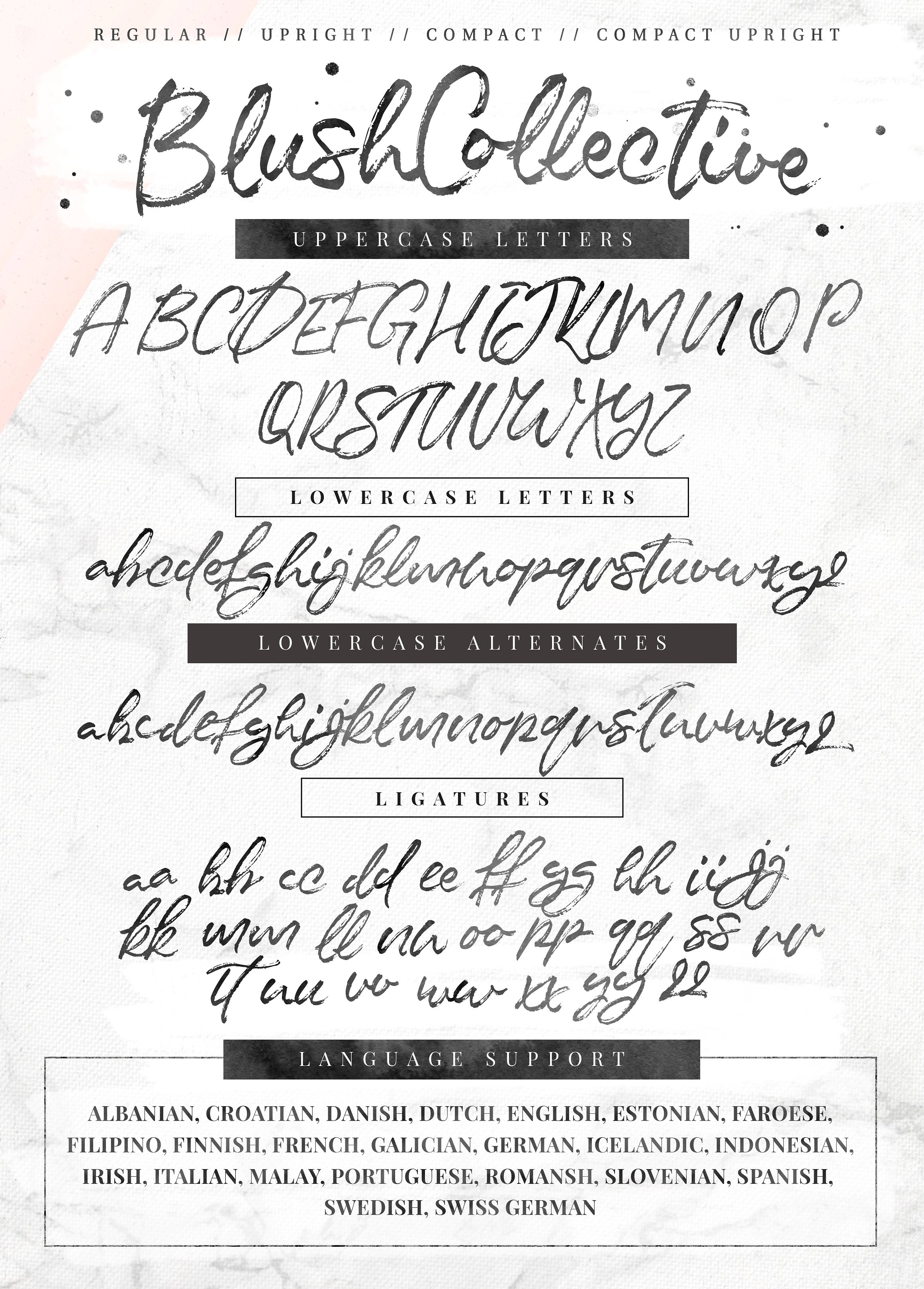 blush collective font pink coffie fonts pack preview lettering